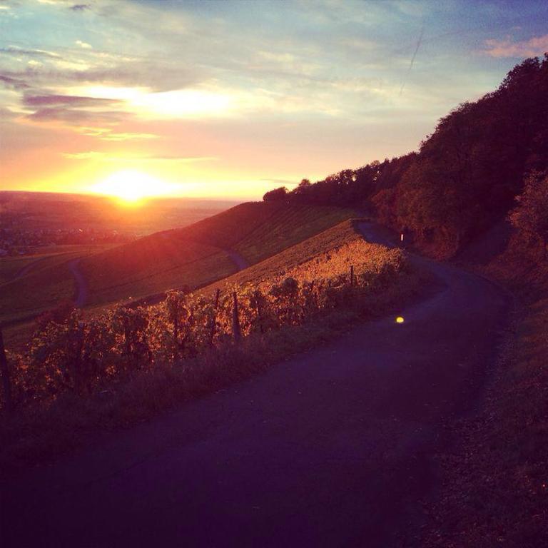 Weingut Gaestehaus Weigand Iphofen Luaran gambar