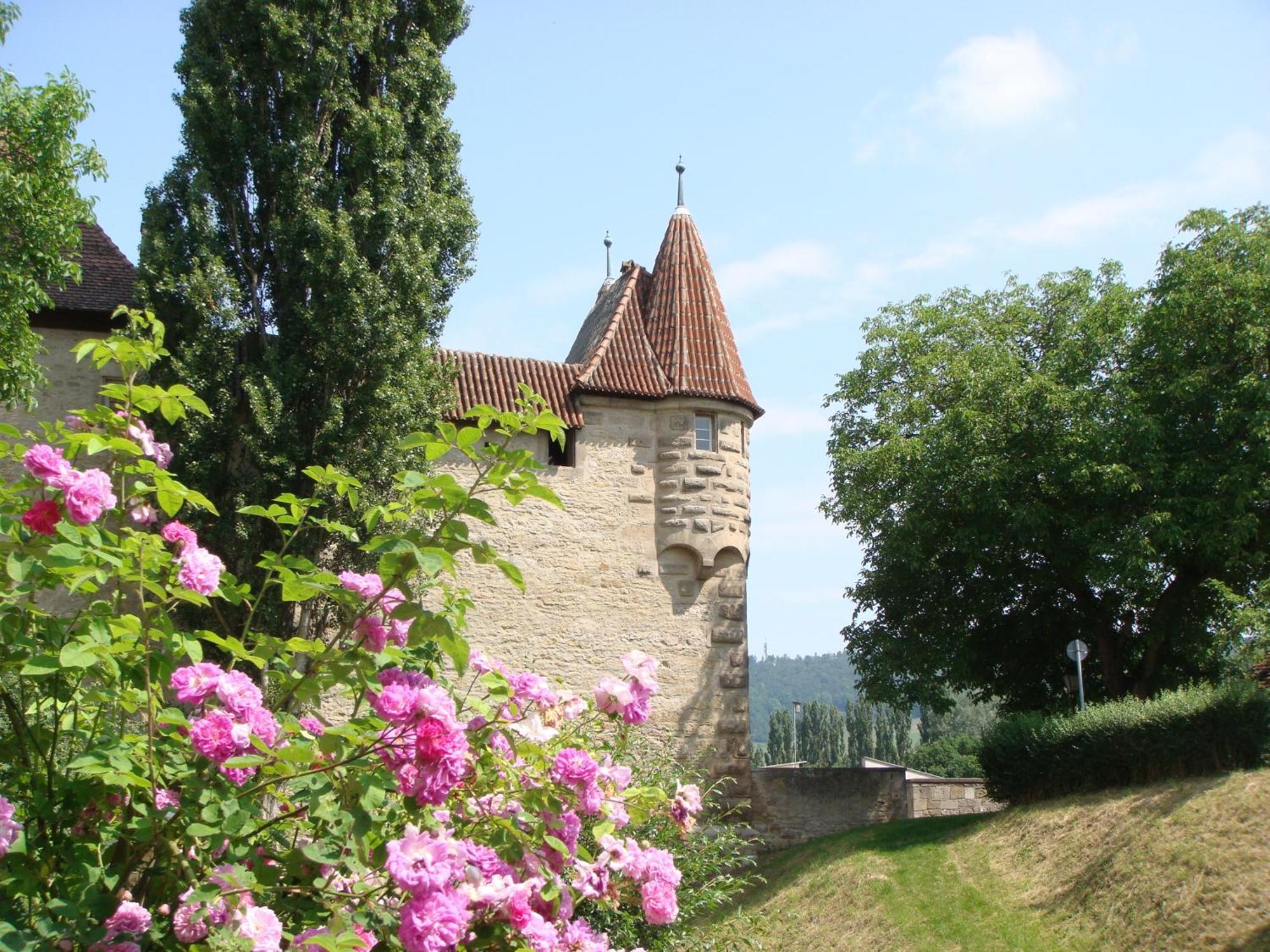 Weingut Gaestehaus Weigand Iphofen Luaran gambar