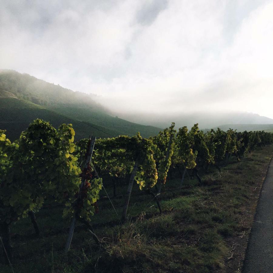 Weingut Gaestehaus Weigand Iphofen Luaran gambar
