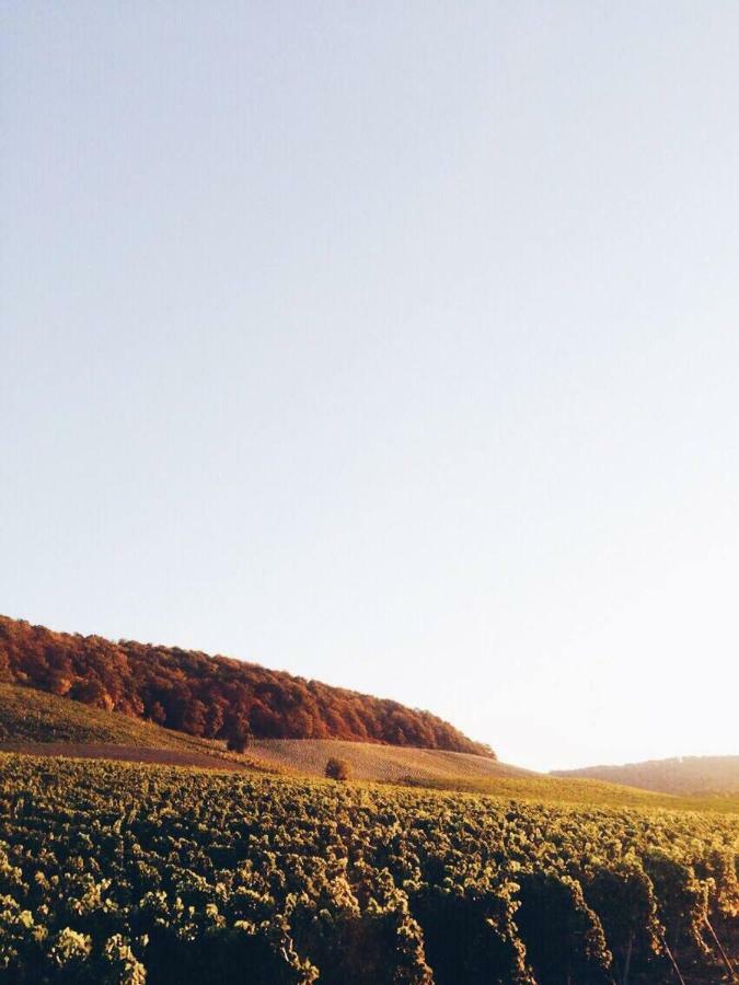 Weingut Gaestehaus Weigand Iphofen Luaran gambar