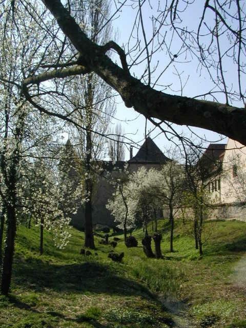Weingut Gaestehaus Weigand Iphofen Luaran gambar